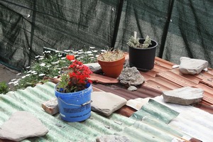 Xtrallusion offers characteristic Bed and Breakfast, B&B, Guest House, Hotel, Albergo and Country Lodge accommodation in Italy. Plus independent self-guided Walking, Adventure, Activity, Skiing and Paragliding Holiday itineraries on the Italian Rivieras, in the Italian Lakes, in the Italian Alps and in some of the most beautiful corners of Italy.